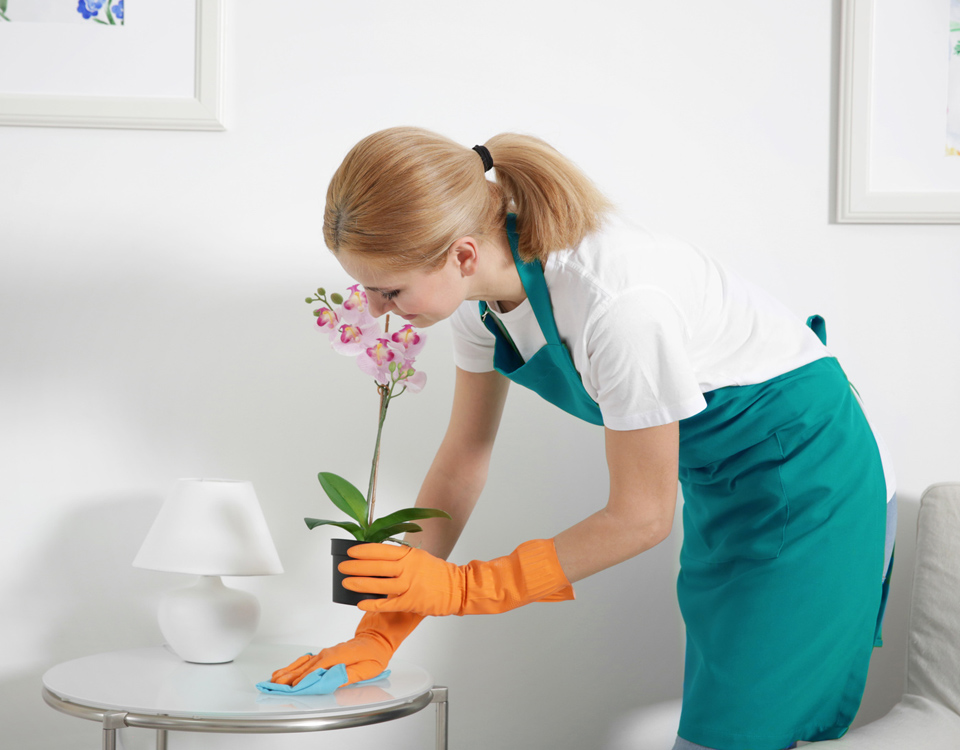Excellence in Cleaning Services